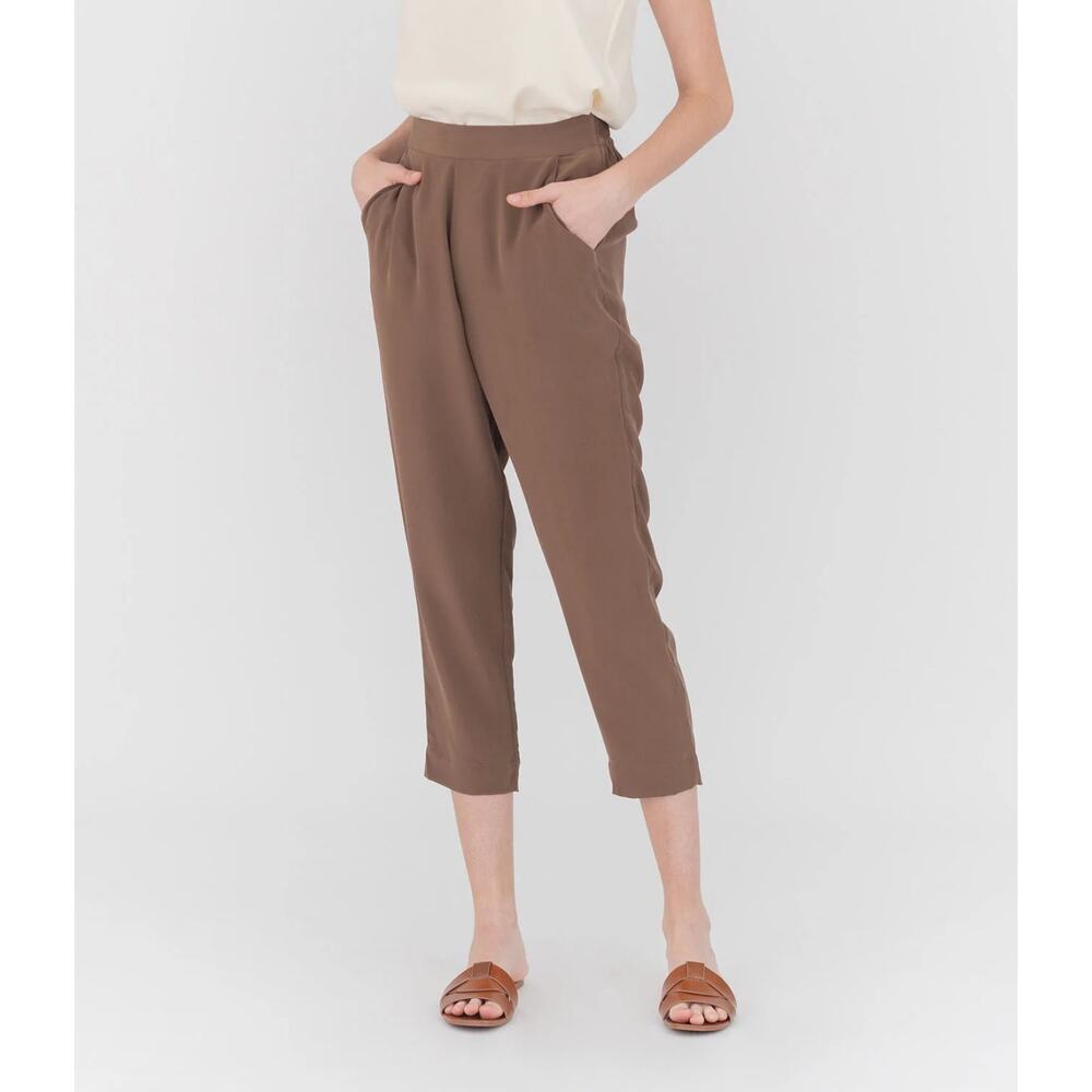 NWT Grana Chinese Silk Flat Front Pants in Mocha Brown XS